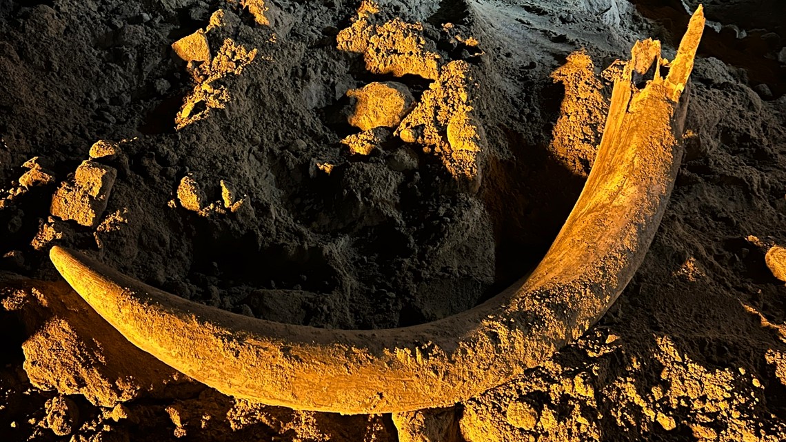 Coal Miners In North Dakota Unearth Mammoth Tusk Wkyc