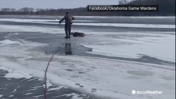 Doe rescued after walking out onto frozen river