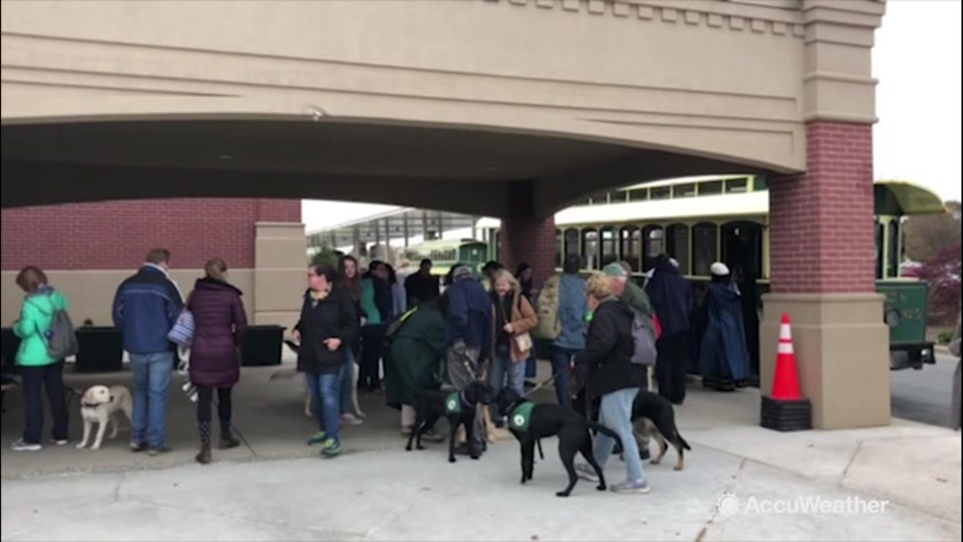 Service dogs of all sorts traveled to Hershey, Pennsylvania, on Nov. 17 to practice being around children in the cold. The trip also helped train the animals on how to identify the smell of chocolate.