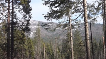 Visiting Yosemite this summer? Here's what you need to know