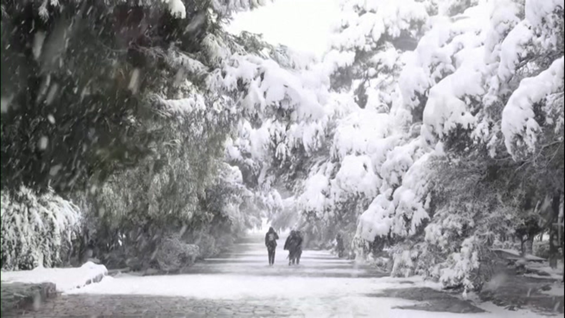 A winter storm blasted Athens, Greece, on Feb. 16, coating the city's streets, beaches and historic sites with several inches of snow.