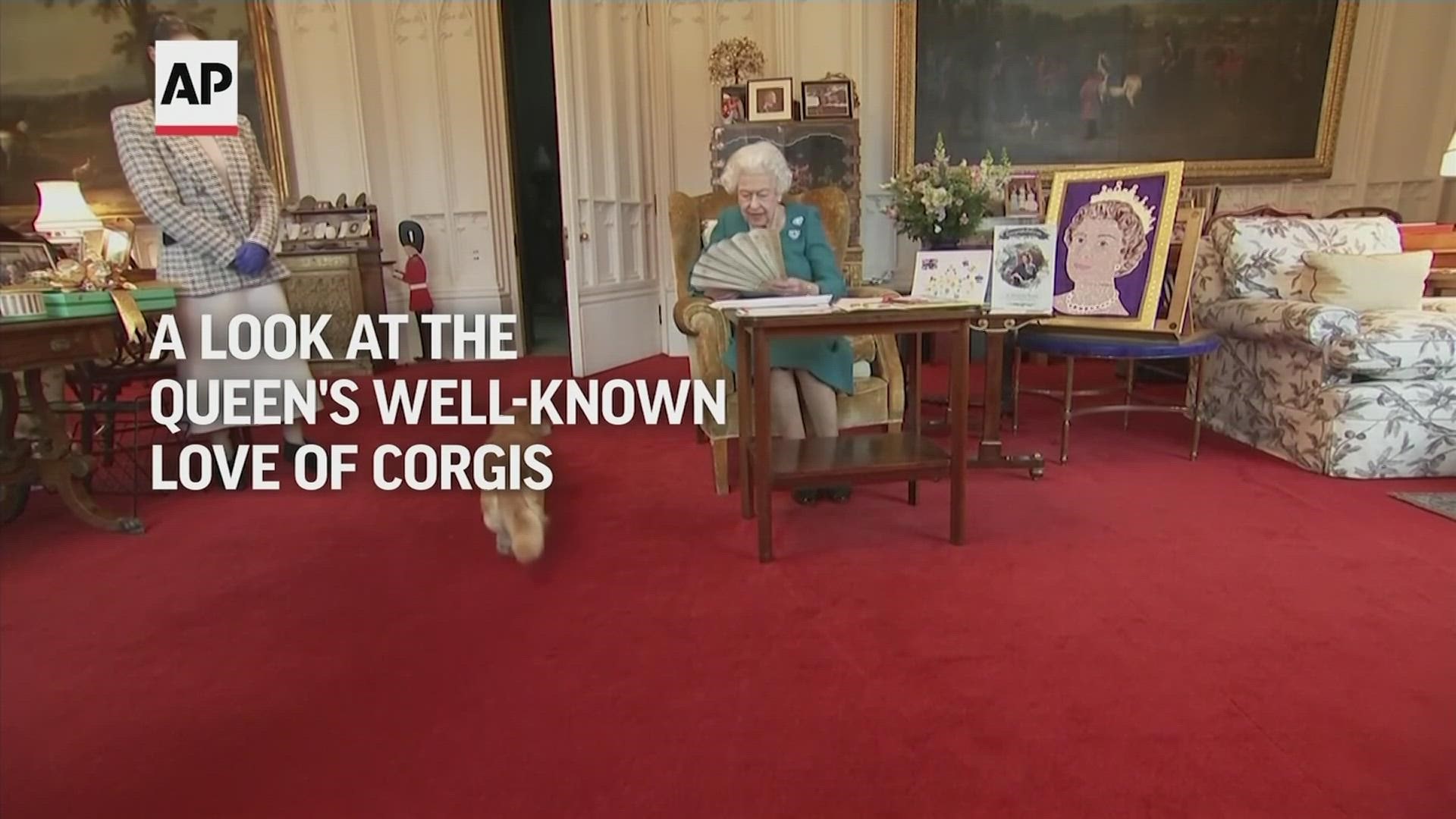 The late monarch owned nearly 30 corgis throughout her life, and they enjoyed a life of privilege fit for a royal pet.