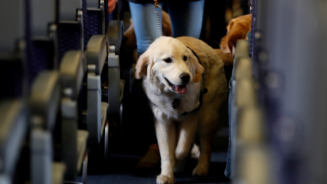 DOT wants to let airlines ban emotional support animals