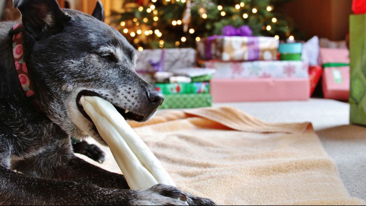 rawhide christmas dog treats