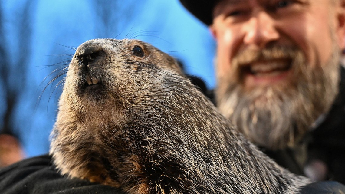 Groundhog Day 2025 Did Punxsutawney Phil see his shadow?