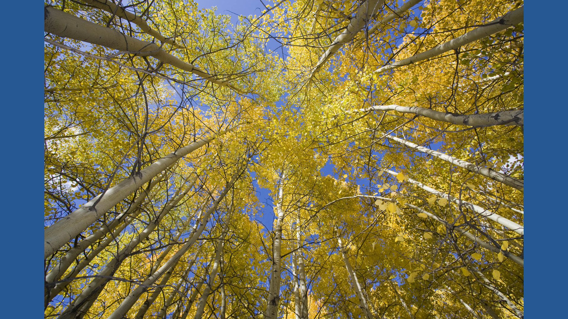 Why do fall skies appear bluer? | wkyc.com