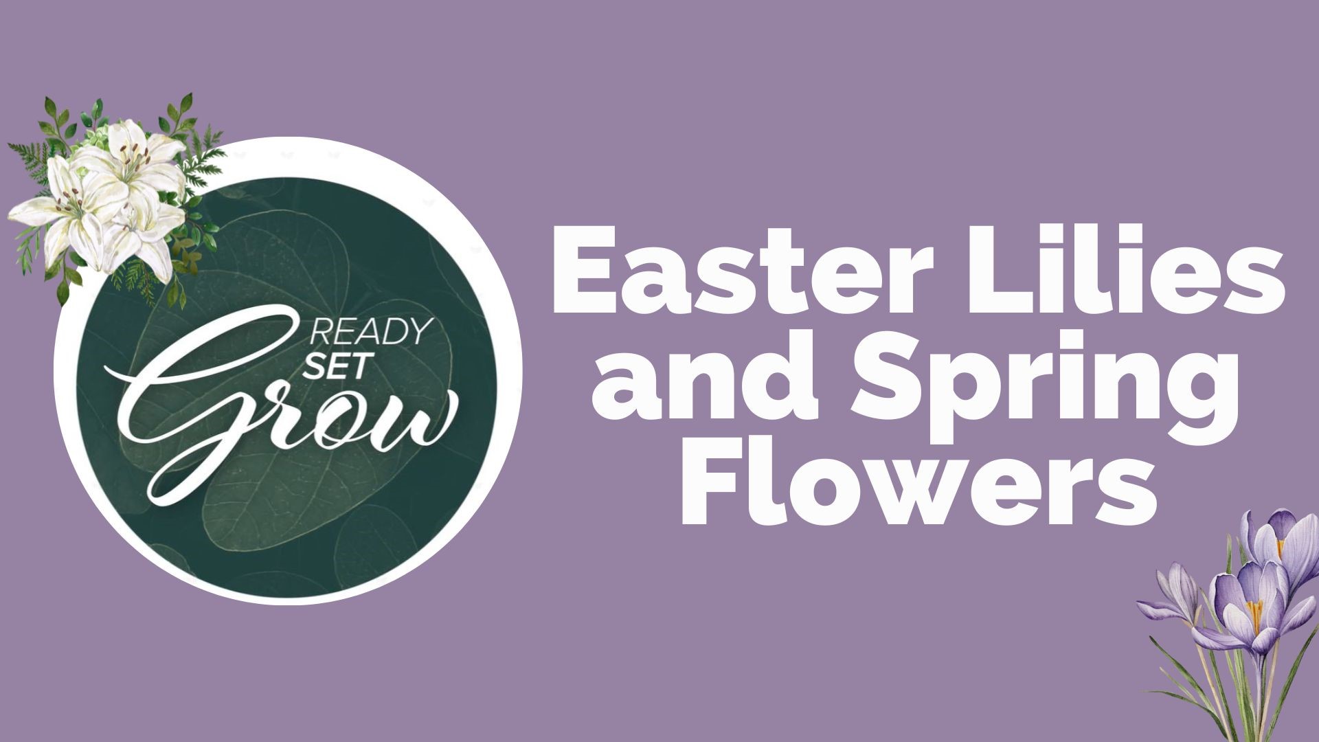Spring is here and it is time to enjoy the flowers. Where tulips, bluebonnets and wildflowers can be seen in the U.S., plus your guide to Easter lilies.