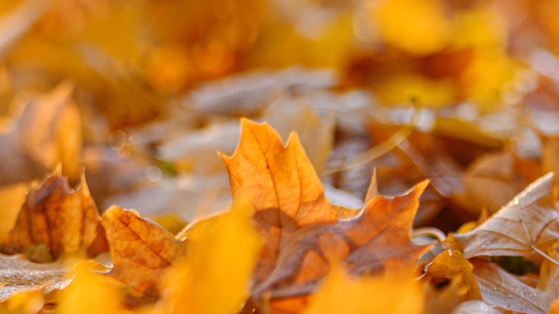 when-does-fall-start-in-2022-autumn-equinox-wkyc