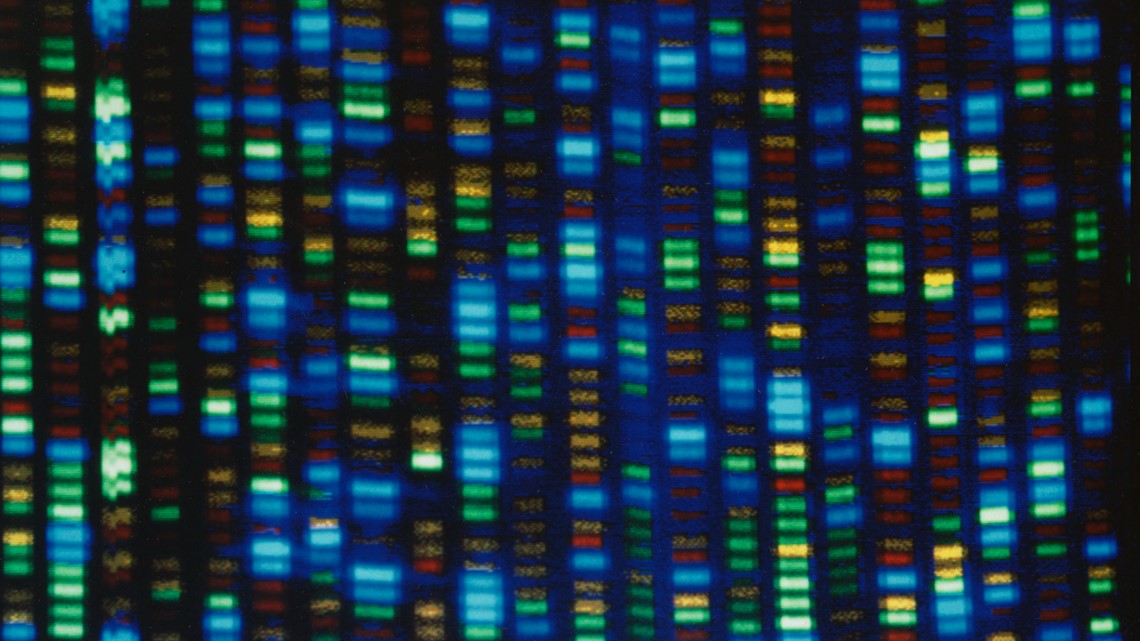 Human genome decoded fully - Vimarsana News