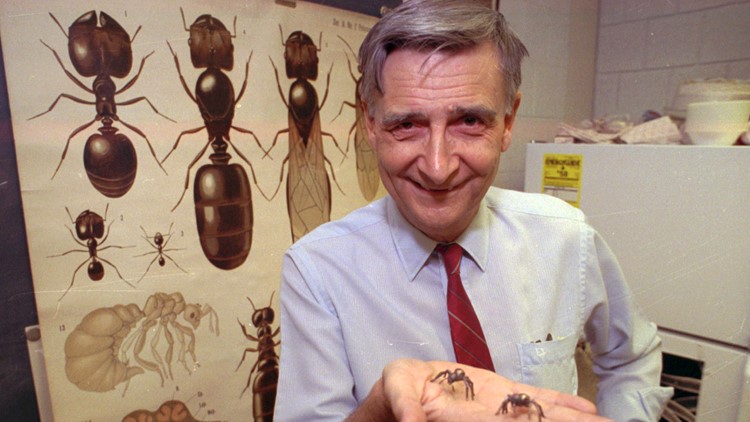 Edward O. Wilson, biologist known as 'ant man,' dies