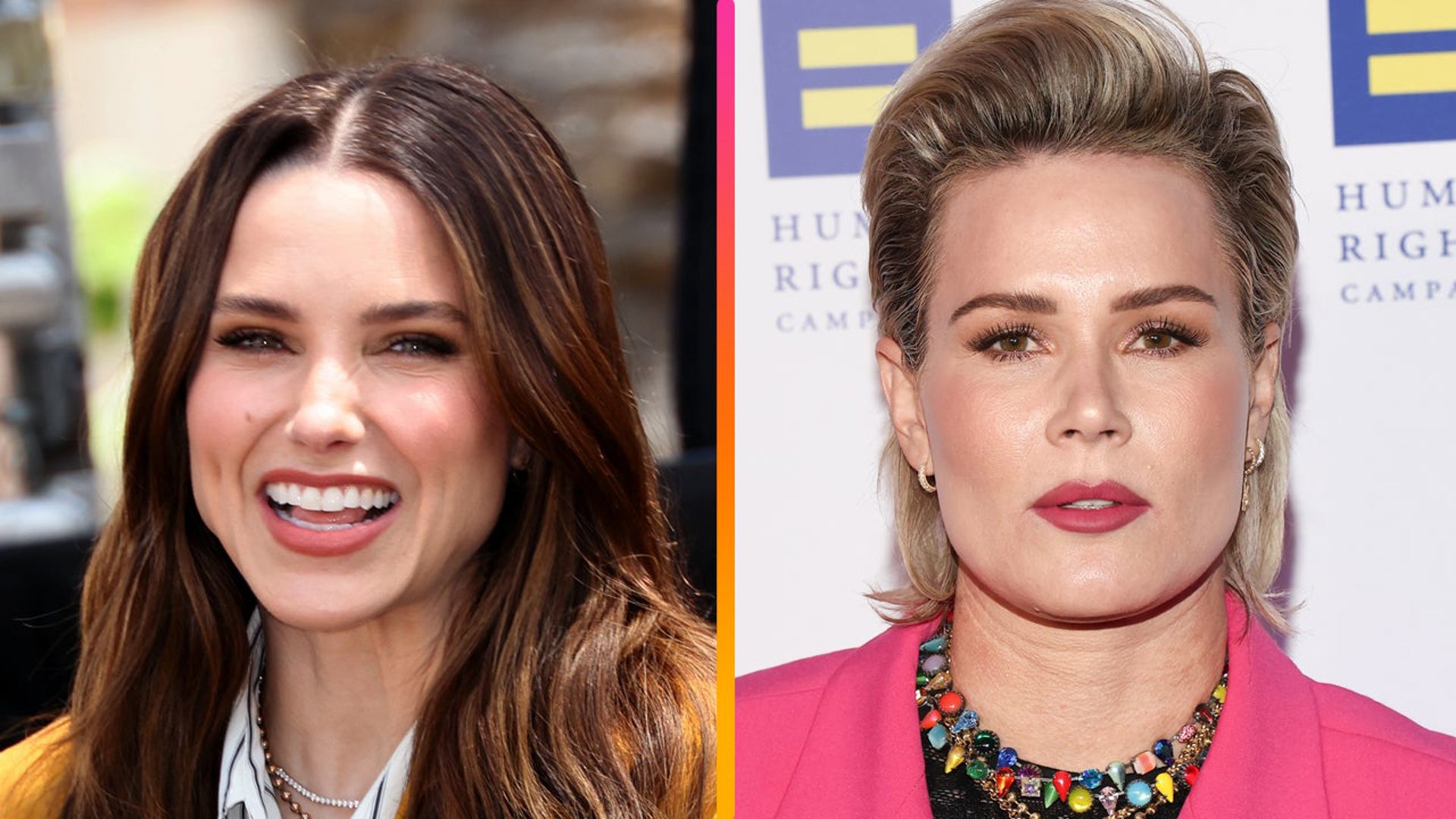 Sophia Bush And Ashlyn Harris: A Timeline Of Their Friendship Turned ...