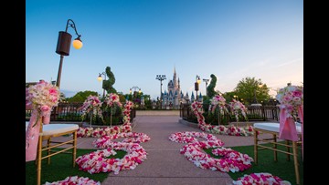 Want A Disney Wedding It Ll Cost You Wkyc Com