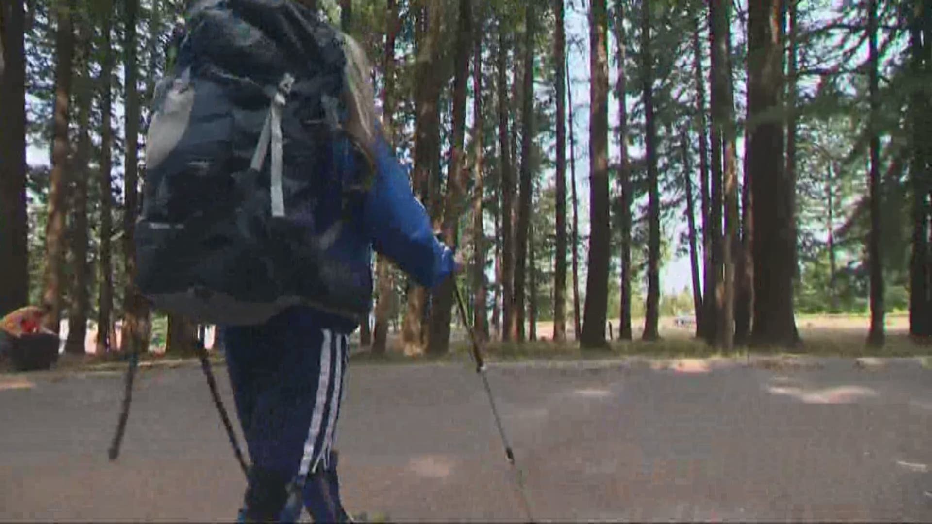 Critics Question Whether Partially Paralyzed Woman Hiked Pacific Crest