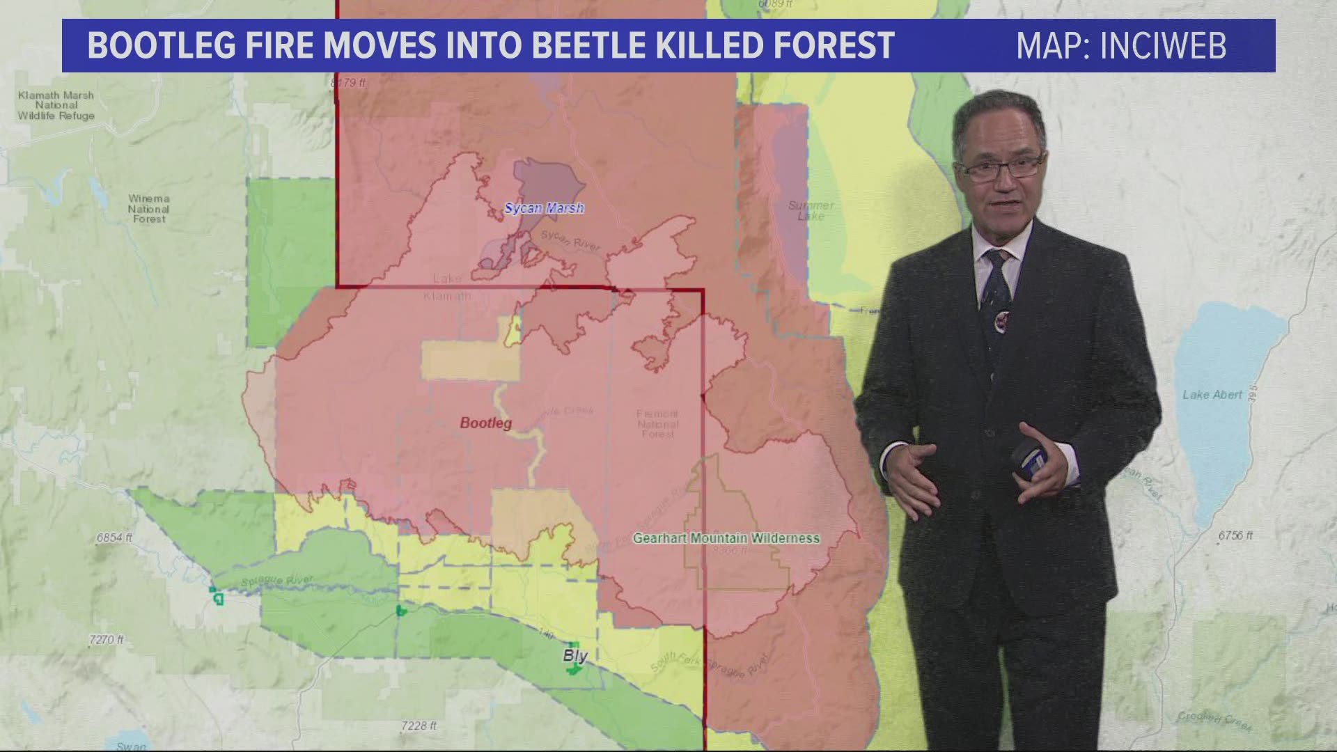 Bark beetles have killed millions of trees, making it easier for forest fires to burn through dead wood.