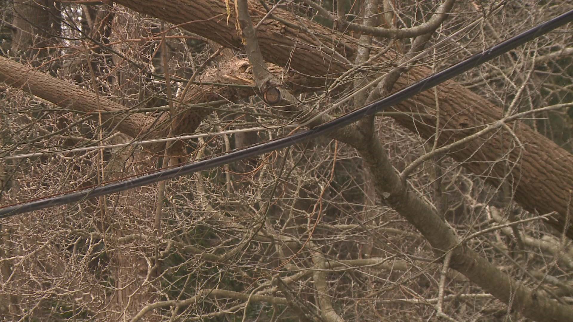 LIVE BLOG: High winds rip through Northeast Ohio causing damage and ...