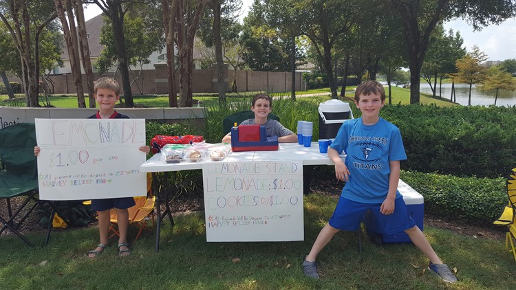 Pearland boys' lemonade stand raises over $800 for Harvey victims