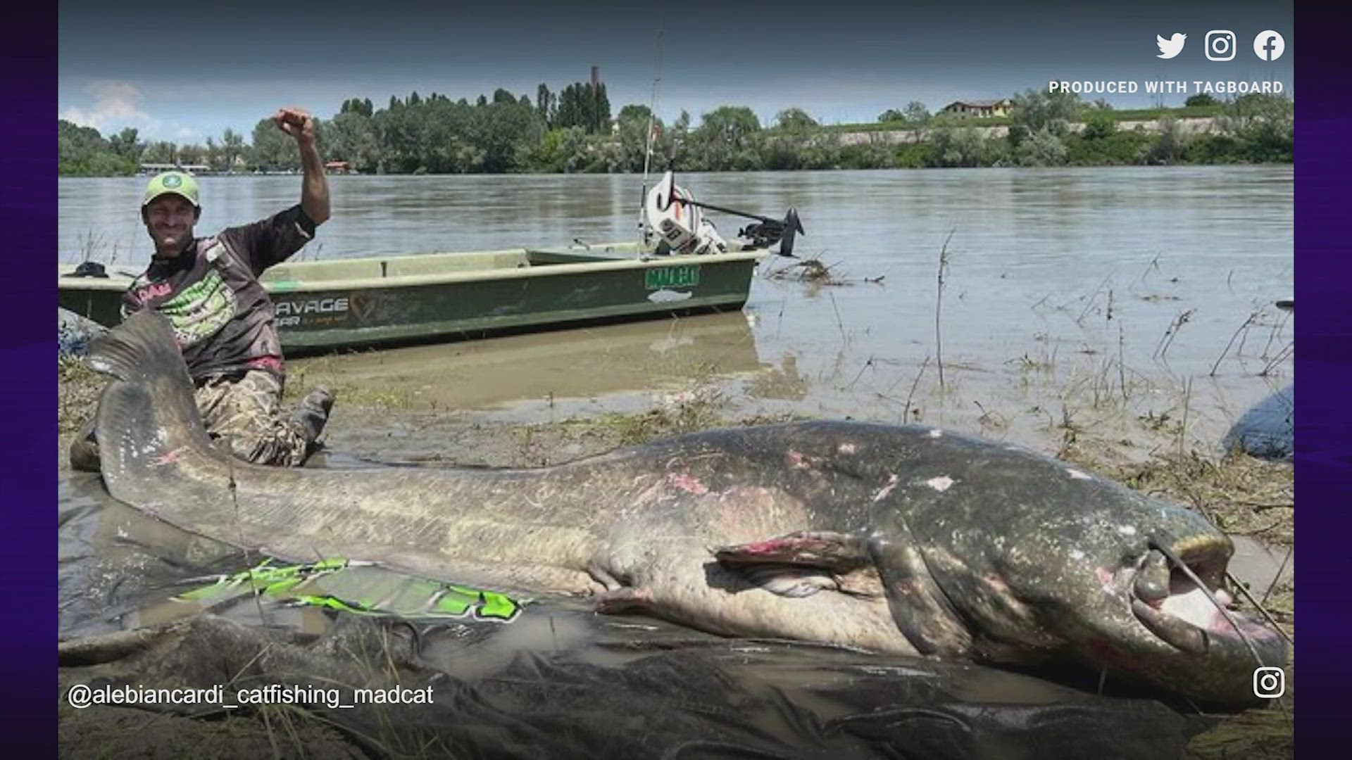 An Italian angler could be a new world record holder after catching a giant catfish in Italy's longest river.