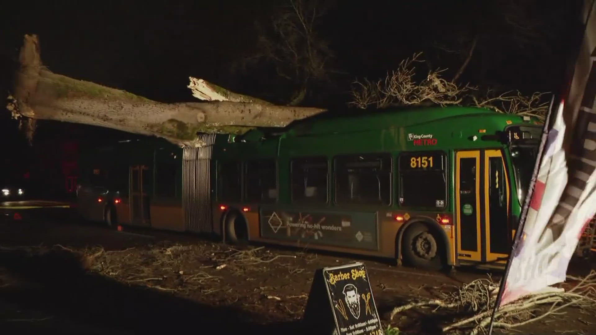 High winds toppled trees and took out power lines across the region