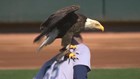 VIDEO: Eagle lands on Mariners pitcher during anthem