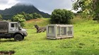 Tour the Oahu ranch where Chris Pratt filmed 