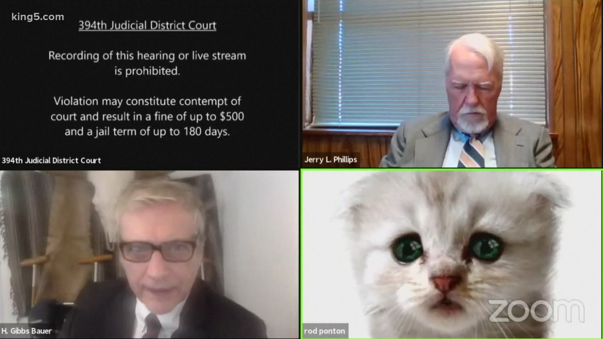 Cat Filter Texas Lawyer Now Cat Lawyer Talks After Zoom Mishap Wkyc Com