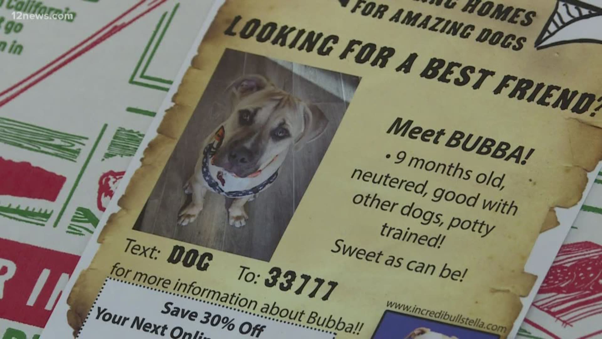 Do you love dogs? Do you love pizza? Thanks to a Valley woman dogs looking for their new forever homes are now being featured on pizza boxes and it's working.