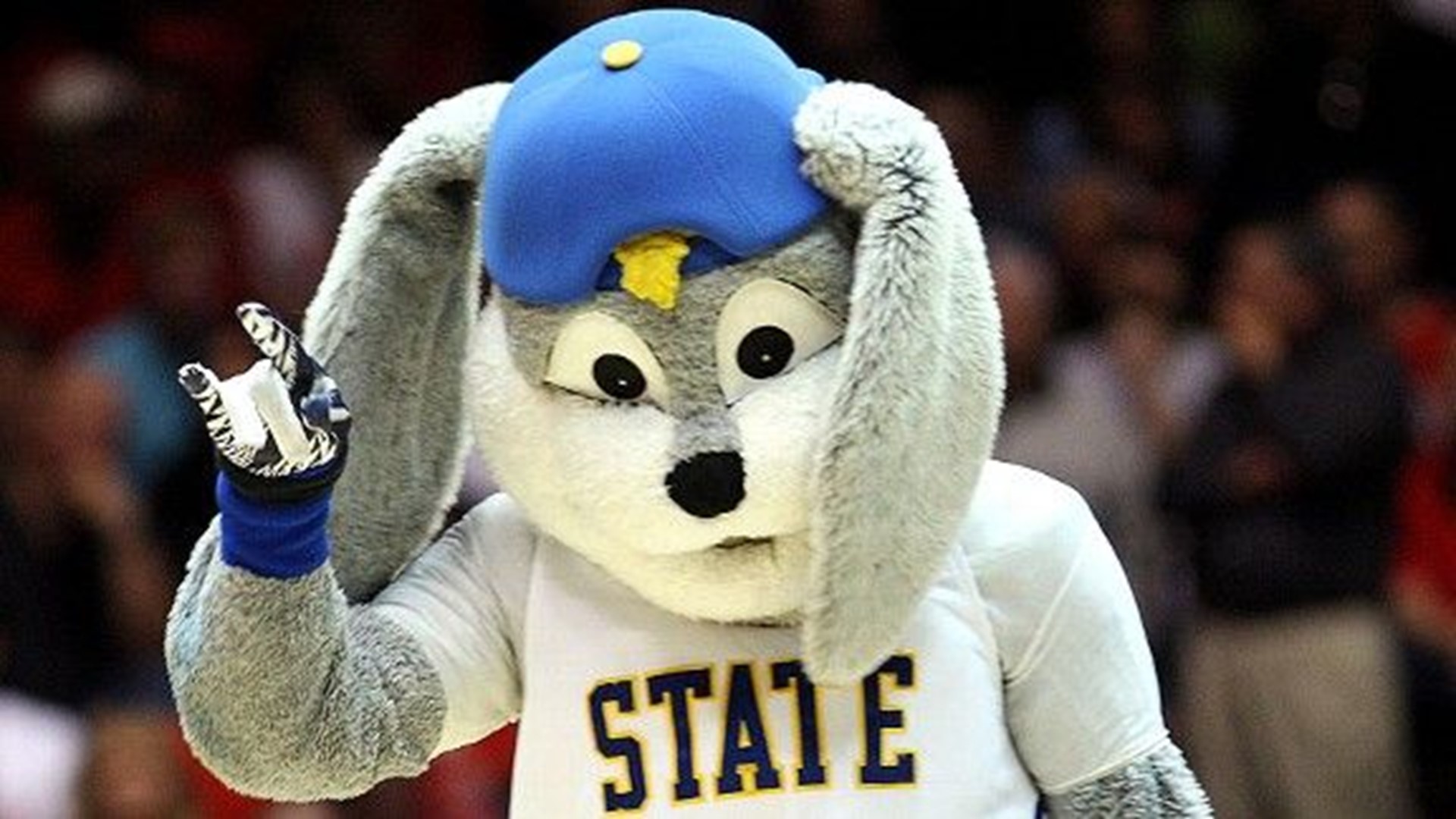 9 inexplicable NCAA basketball mascots