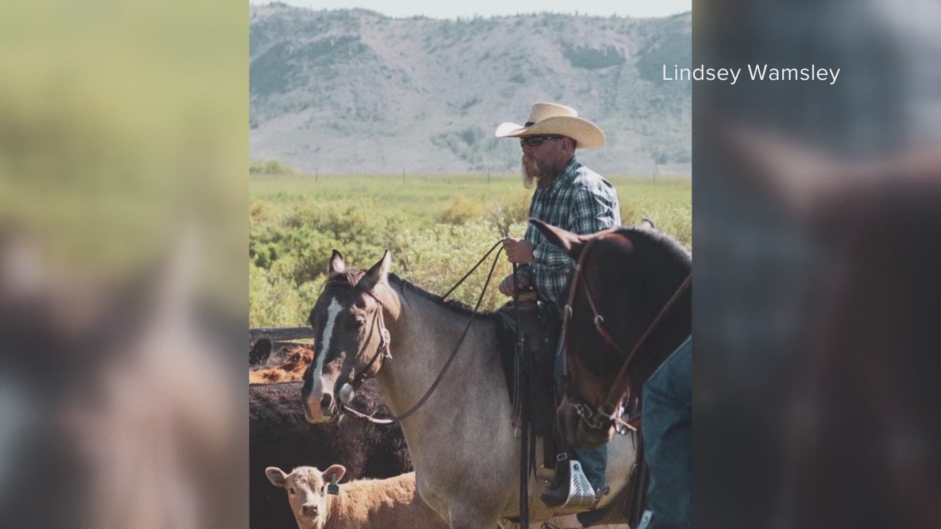 The lightning strike also killed 34 head of cattle.