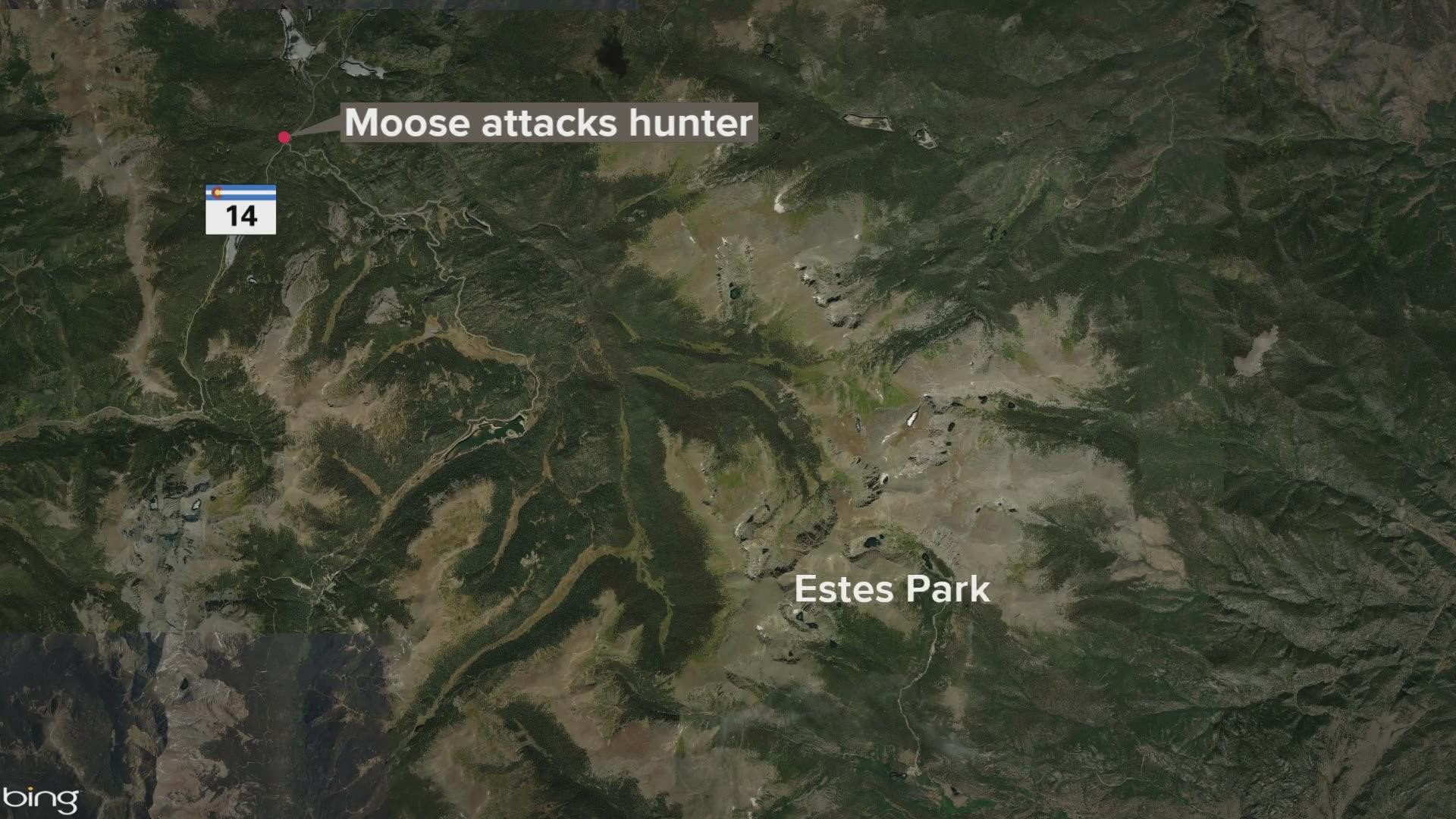 Rescuers with the Larimer County Sheriff's Office said the hunter tried to shoot a moose with an arrow, missed and was attacked by the animal.