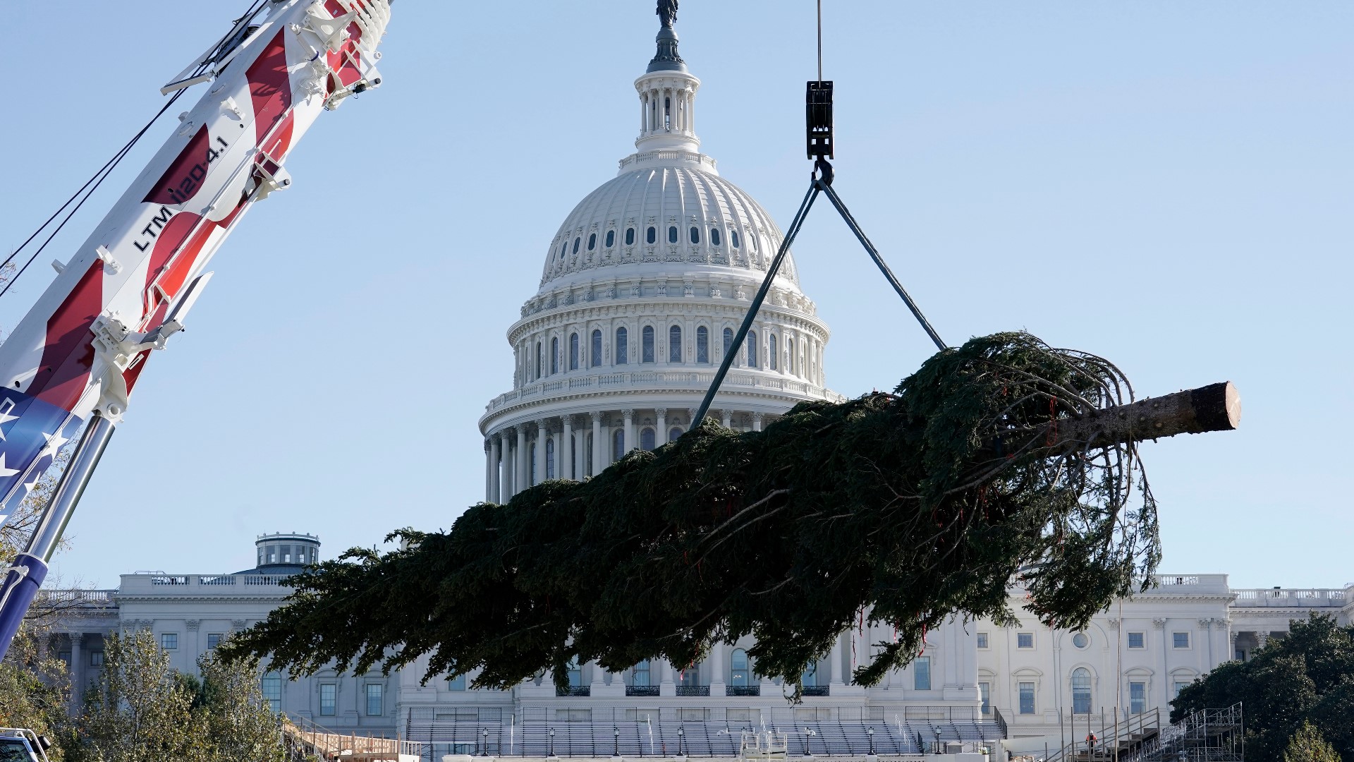 It's only the fourth time a tree from Colorado has been chosen as the U.S. Capitol Christmas tree.