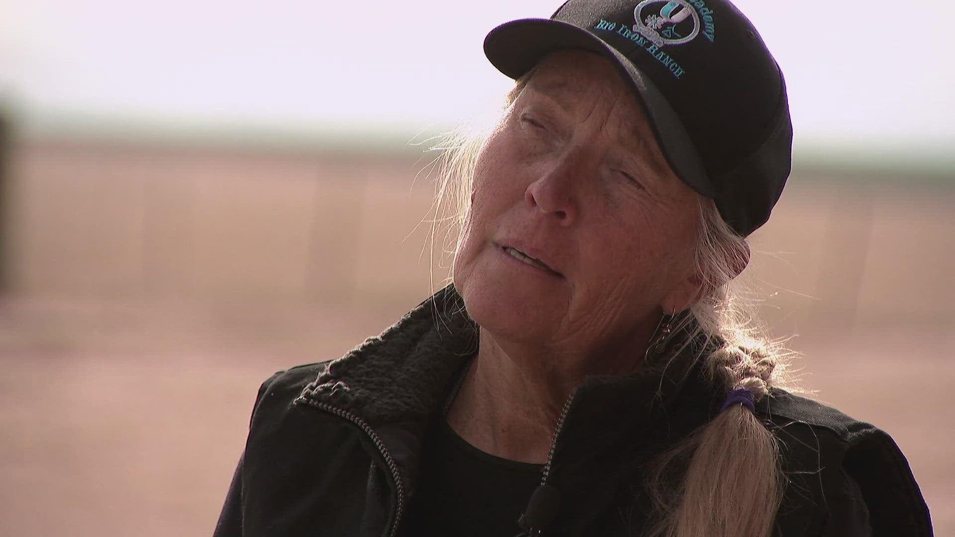 Colorado Parks and Wildlife is investigating the death of 4 animals on a ranch in Watkins.
They believe the animals were attacked by a coyote.