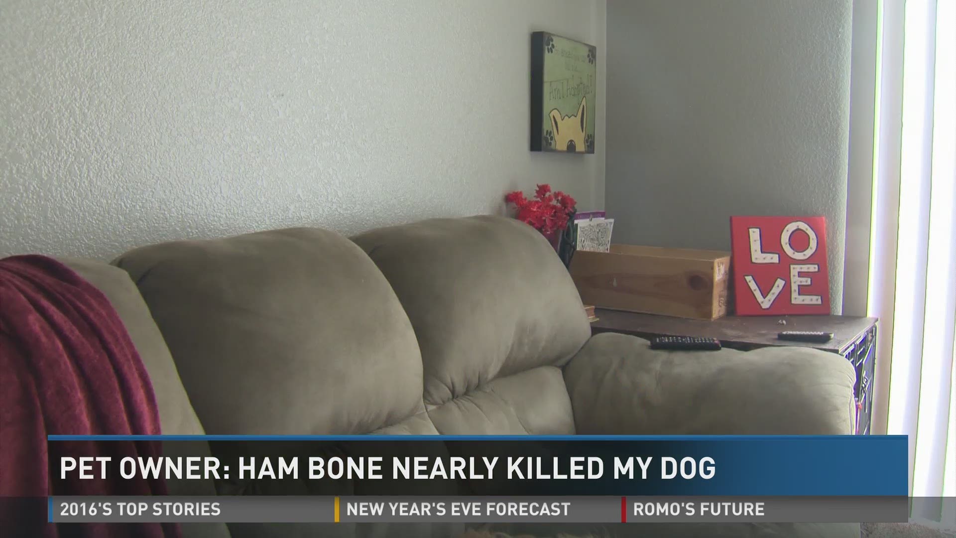 Pet Owner: Ham bone nearly killed my dog