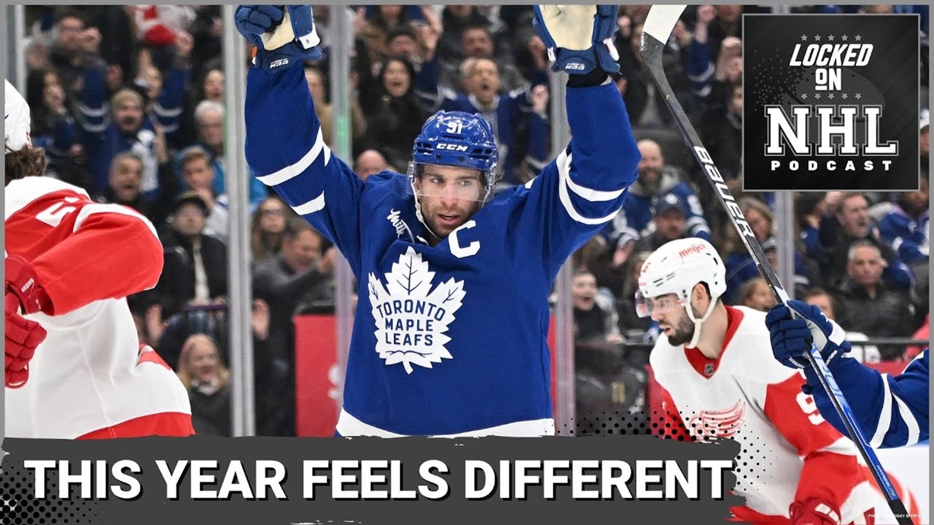 Toronto Maple Leafs: Hurricanes Fans, We Know How You Feel