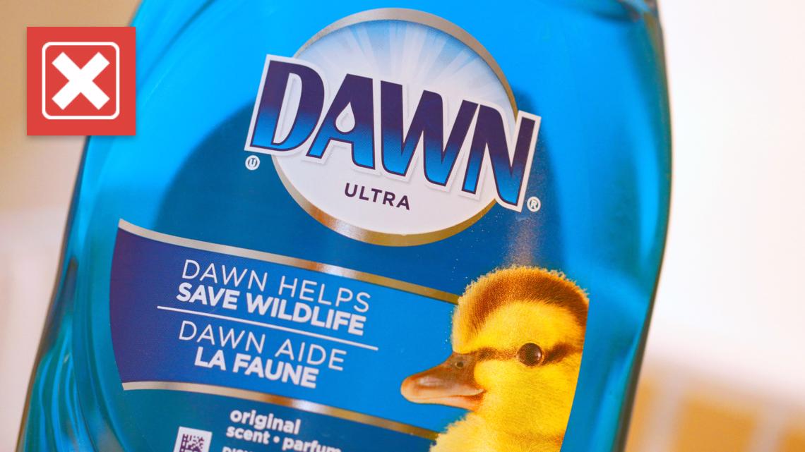 No, Dawn dish soap should not be used as a regular flea treatment for pets
