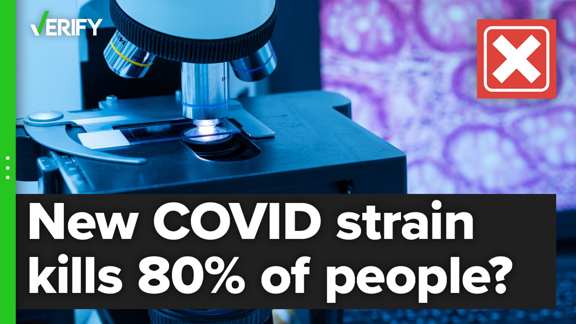 Boston University researchers studied the effects of a lab-made COVID strain on a type of mice that are highly susceptible to the virus.