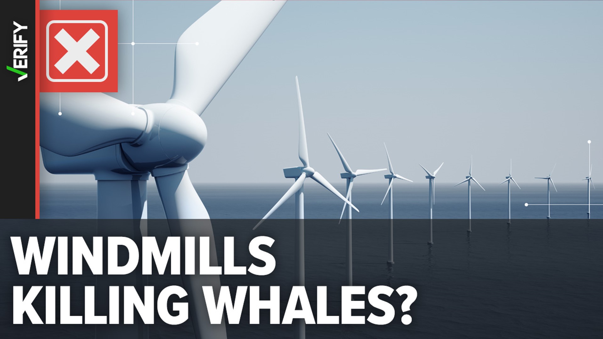 Former President Donald Trump recently claimed that “windmills are causing whales to die” in record numbers, but there’s no scientific evidence to support that.