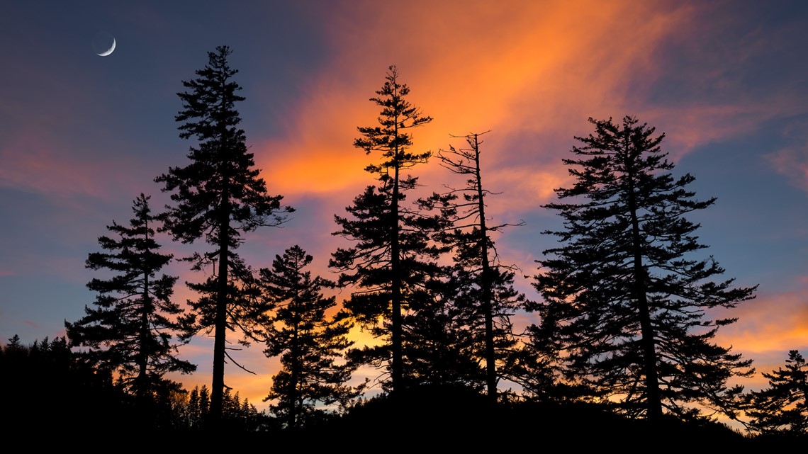 U.S. Forest Service gives grant of $25,000 to City of Stow - Vimarsana News