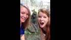 Zoo visitor gets photo bombed by baboon