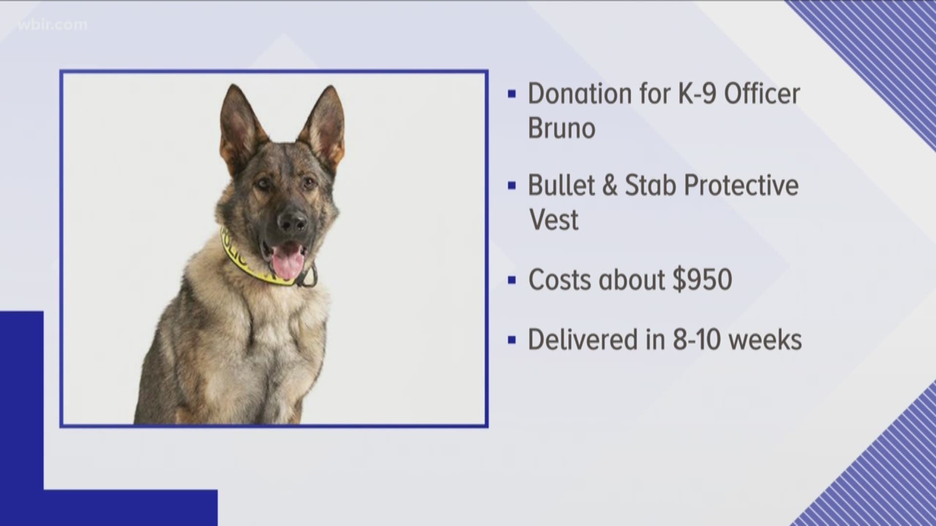 Bruno will soon have some much-needed protection thanks to a donation from a Michigan couple.