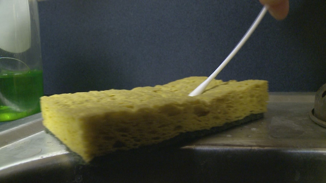 Your dish sponge could be making you sick!