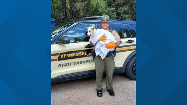 THP trooper adopts dog he rescued from extreme heat