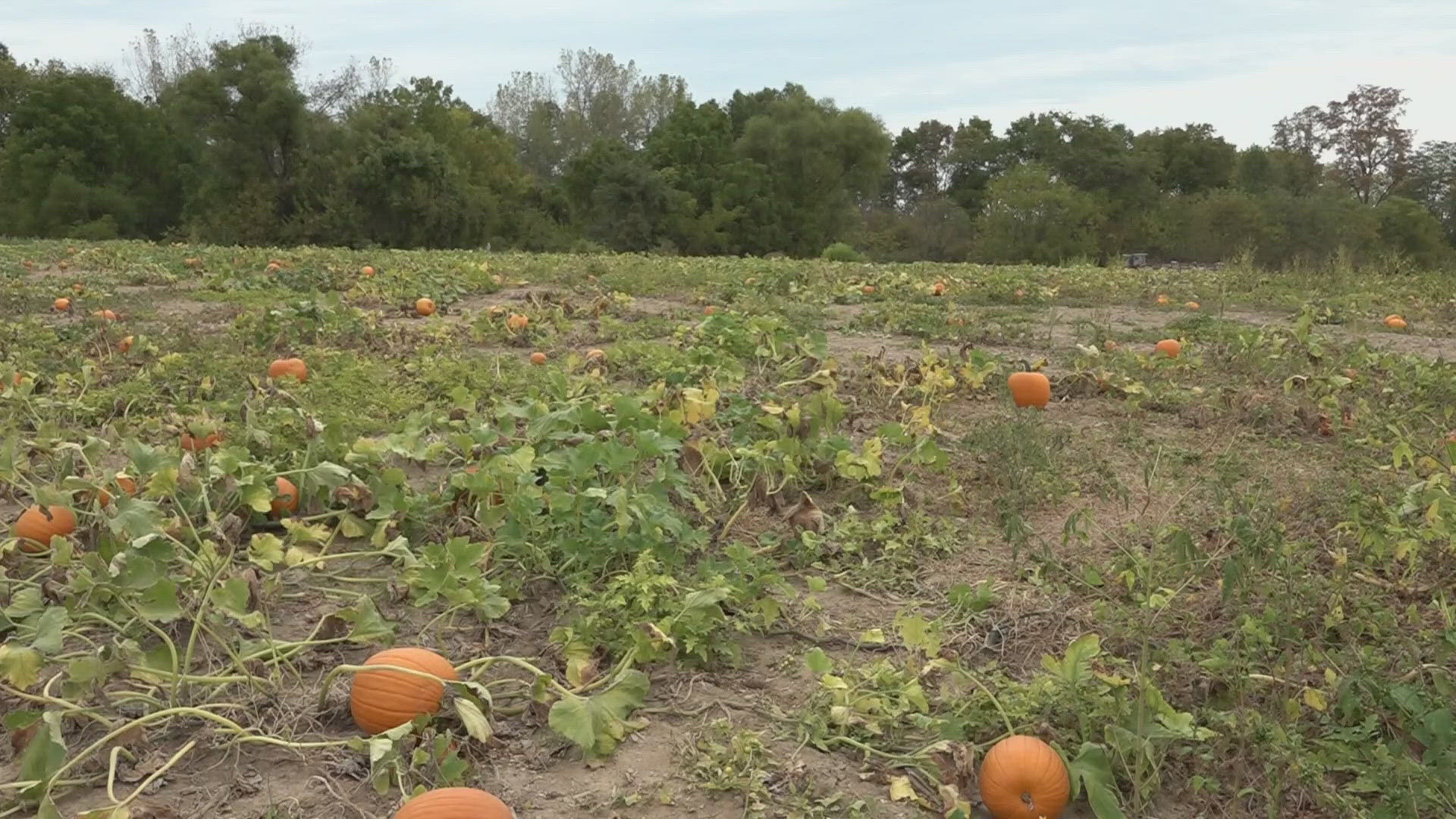 Putting on this year’s fall activities did not come without its challenges from Mother Nature.