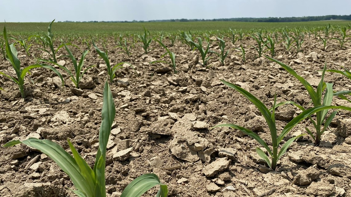 Drought could impact Ohio farms as early as next week