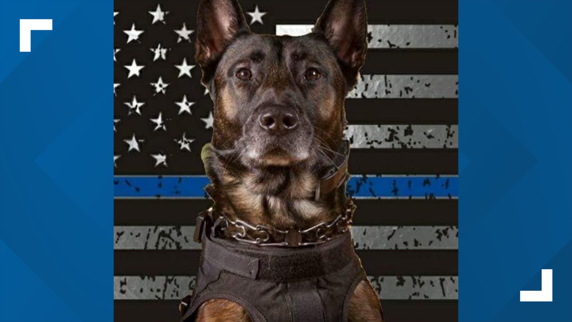 Waverly police announce passing of K9