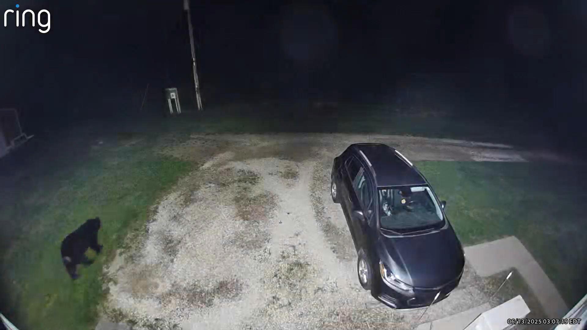 The Morrow County Sheriff's Office confirmed that a black bear was spotted in the area on Friday.
