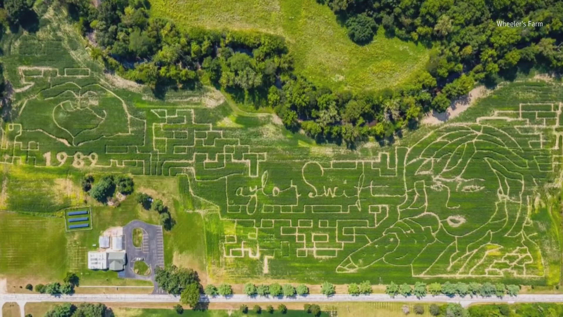 Wheeler's Farm in Whitehouse went with Taylor Swift as their corn maze theme.