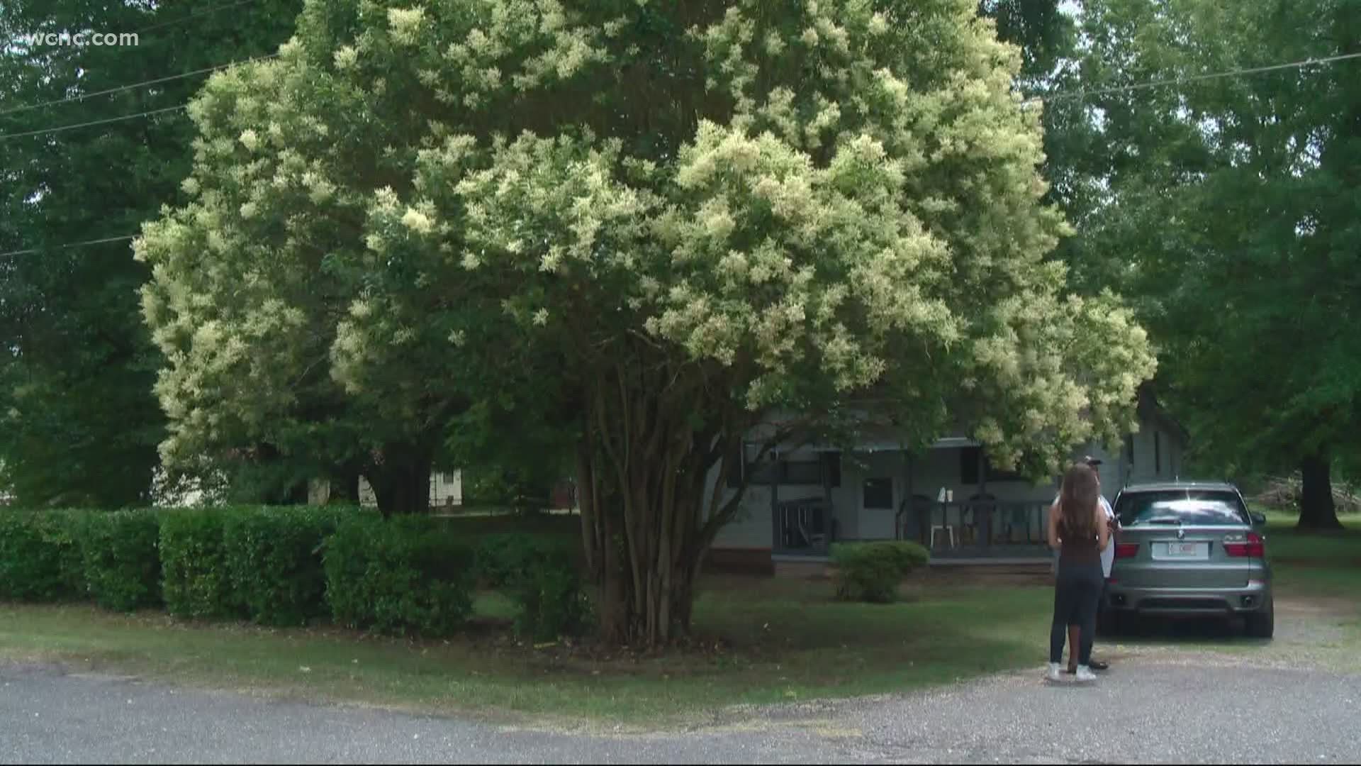 Deputies said at least three people sustained injuries at a Juneteenth celebration Saturday night