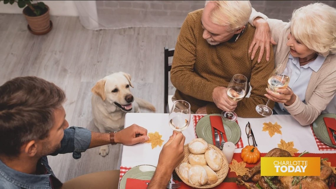 Thanksgiving Foods Your Dog Can and Can't Eat