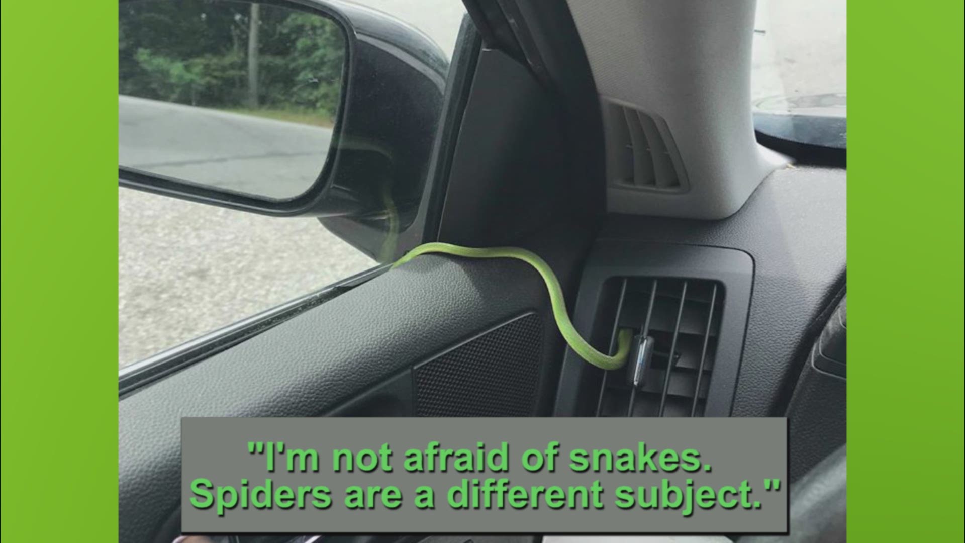 SC man captures snake in car vent on video