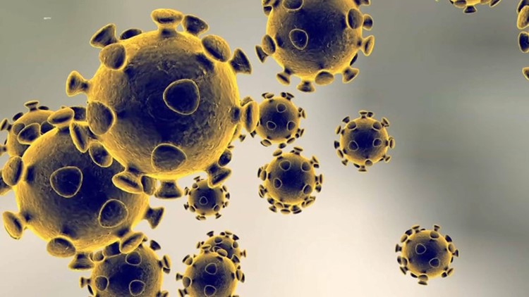 New Hampshire’s 1st coronavirus patient, told to stay isolated, went to event instead